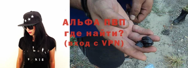 стаф Алзамай