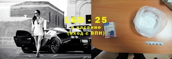 стаф Алзамай