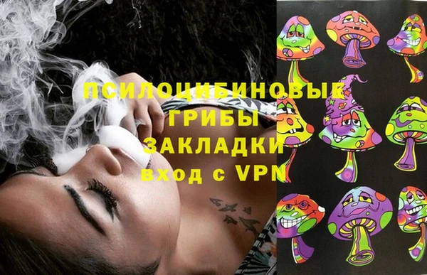 стаф Алзамай