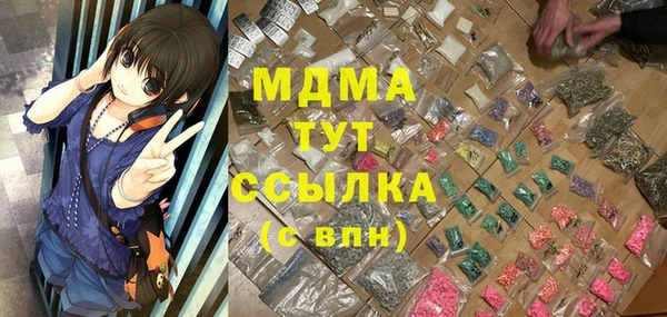стаф Алзамай