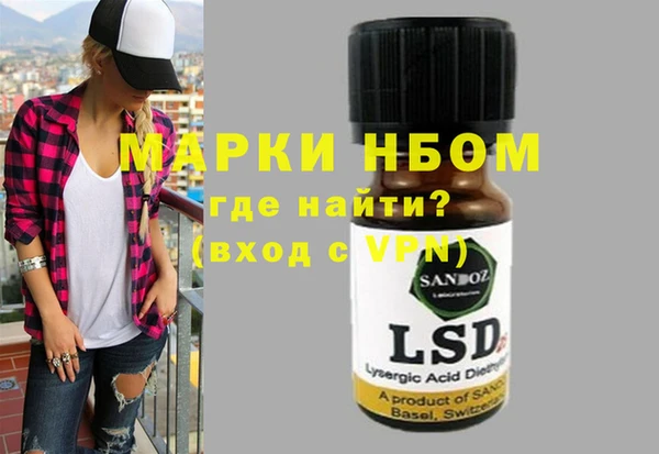 стаф Алзамай
