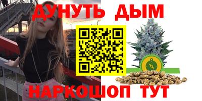 гашик Изобильный