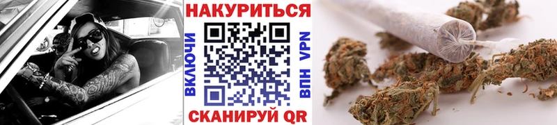 ОМГ ОМГ   Черкесск  Канабис гибрид 
